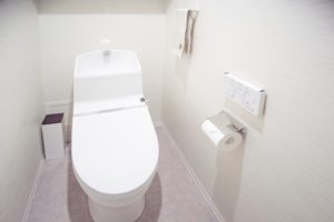 Toilet in 1201